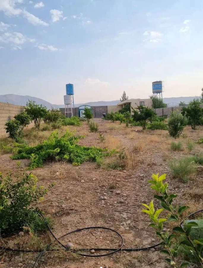 آگهی